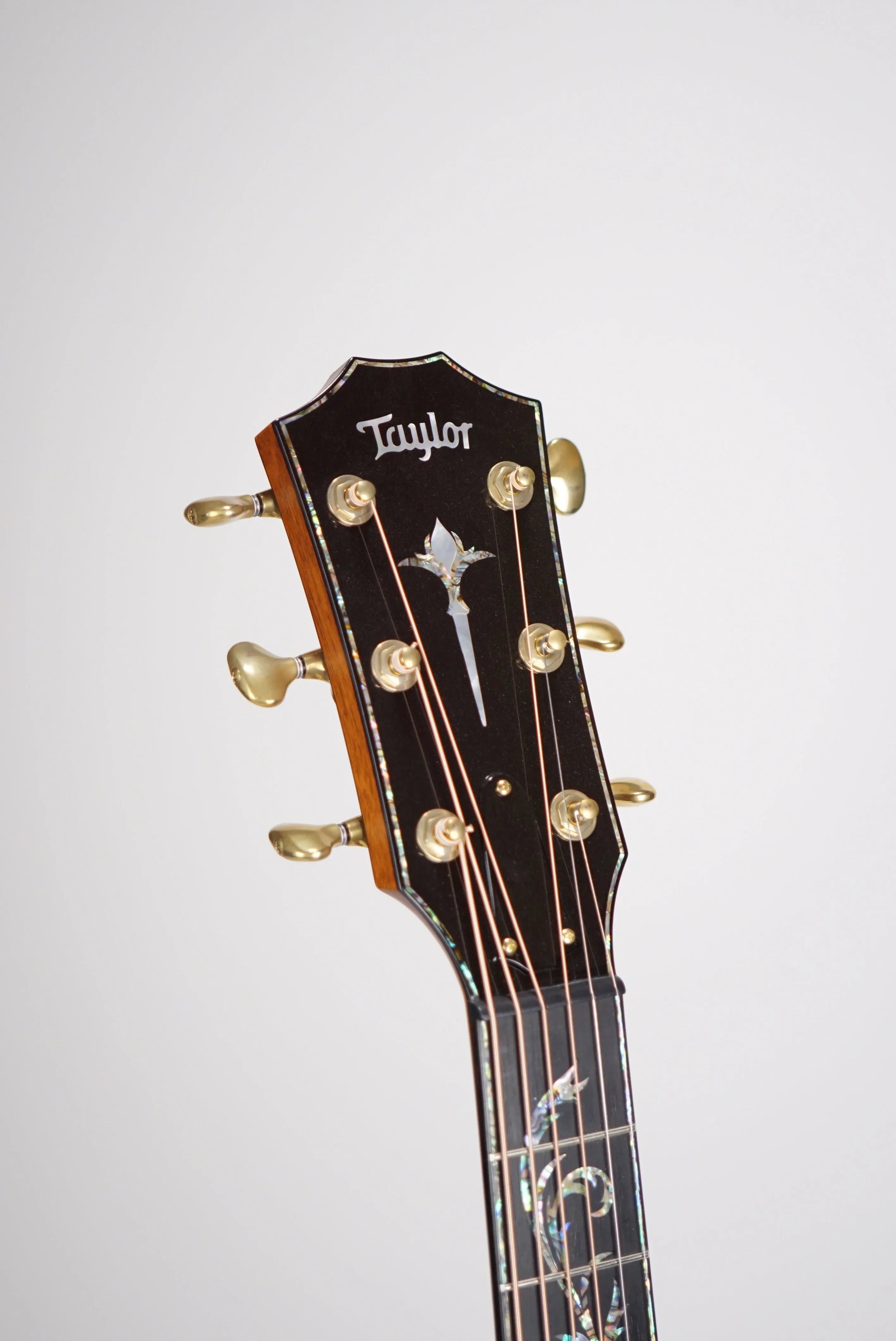 2018 Taylor PS14 Sinker Redwood Camroon Ebony