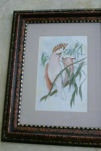 21,5"X 17” 1955 GOULD  PINK COCKATOO BIRD FOLIO LITHOGRAPH FRAMED IN SIGNED DETAILED ARTIST HAND PAINTED FRAME AND MAT TO ENHANCE THE ART WITHIN GORGEOUS DFPN80A DESIGNER WALL ART DÉCOR