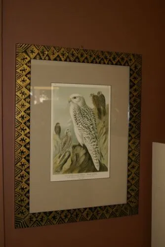 21,5"X 17” 1955 GOULD  PINK COCKATOO BIRD FOLIO LITHOGRAPH FRAMED IN SIGNED DETAILED ARTIST HAND PAINTED FRAME AND MAT TO ENHANCE THE ART WITHIN GORGEOUS DFPN80A DESIGNER WALL ART DÉCOR