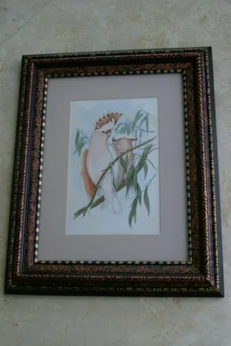 21,5"X 17” 1955 GOULD  PINK COCKATOO BIRD FOLIO LITHOGRAPH FRAMED IN SIGNED DETAILED ARTIST HAND PAINTED FRAME AND MAT TO ENHANCE THE ART WITHIN GORGEOUS DFPN80A DESIGNER WALL ART DÉCOR