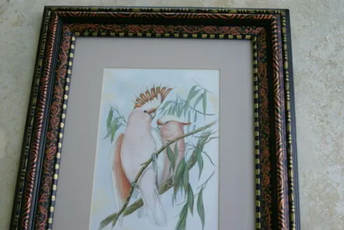 21,5"X 17” 1955 GOULD  PINK COCKATOO BIRD FOLIO LITHOGRAPH FRAMED IN SIGNED DETAILED ARTIST HAND PAINTED FRAME AND MAT TO ENHANCE THE ART WITHIN GORGEOUS DFPN80A DESIGNER WALL ART DÉCOR