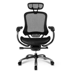 Eureka Ergonomic Foundation Mesh Chair, ERK-OC-001