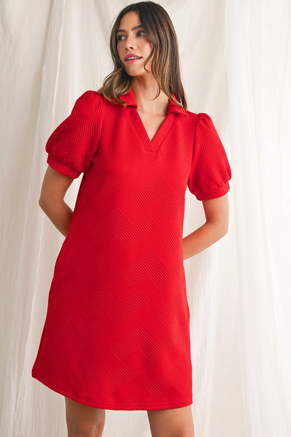 Fiery Red V Neck Puff Sleeve Textured Mini Dress