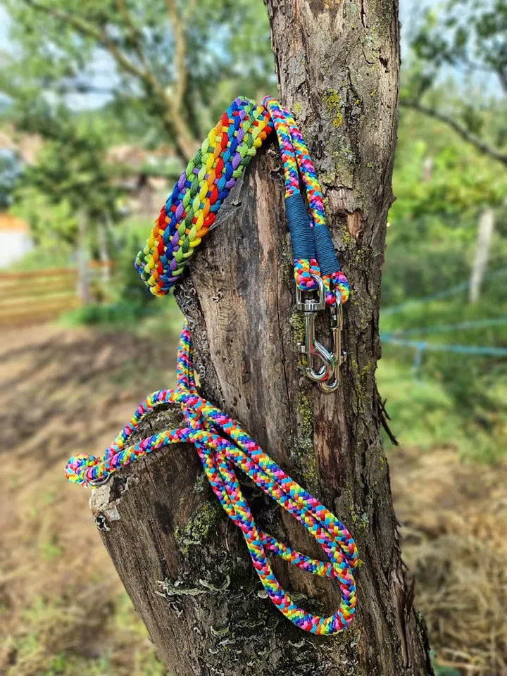 Hands Free Rainbow Dog Leash