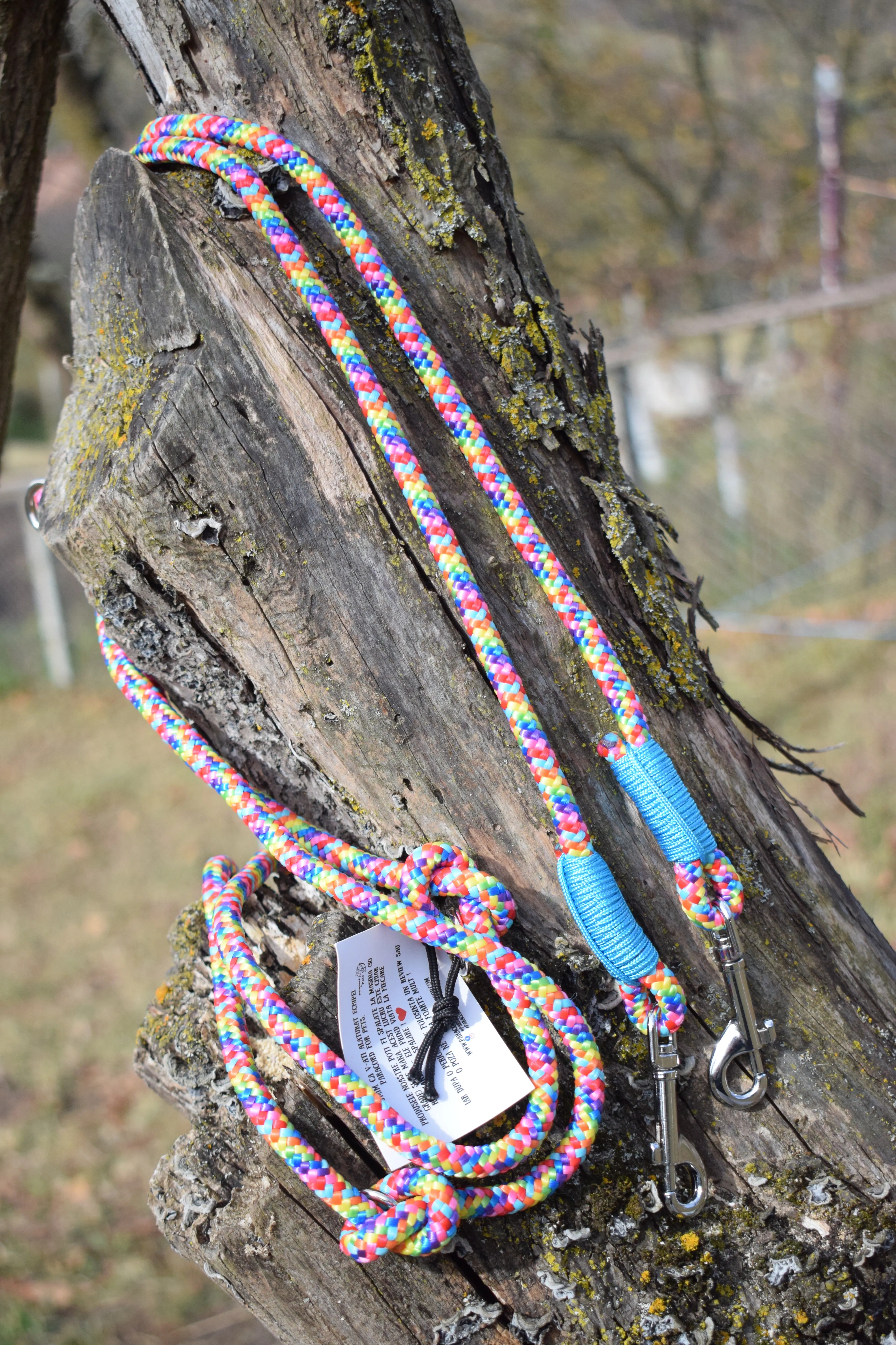 Hands Free Rainbow Dog Leash