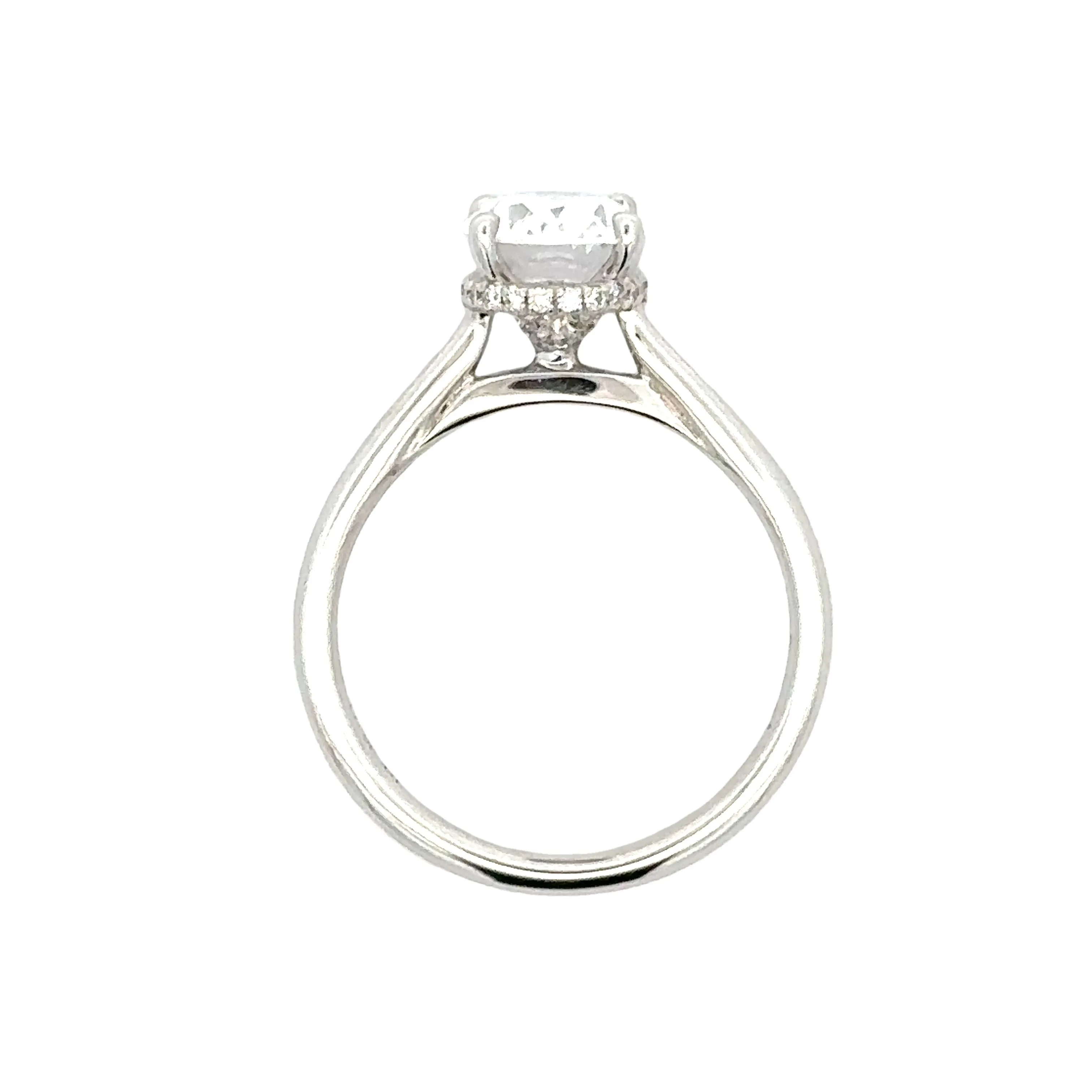 Hidden Halo Engagement Ring in Platinum