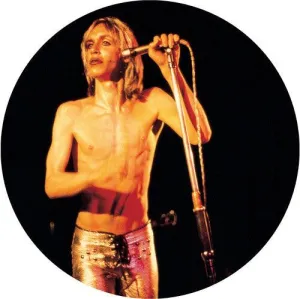 Iggy & The Stooges- More Power (Pic Disc)