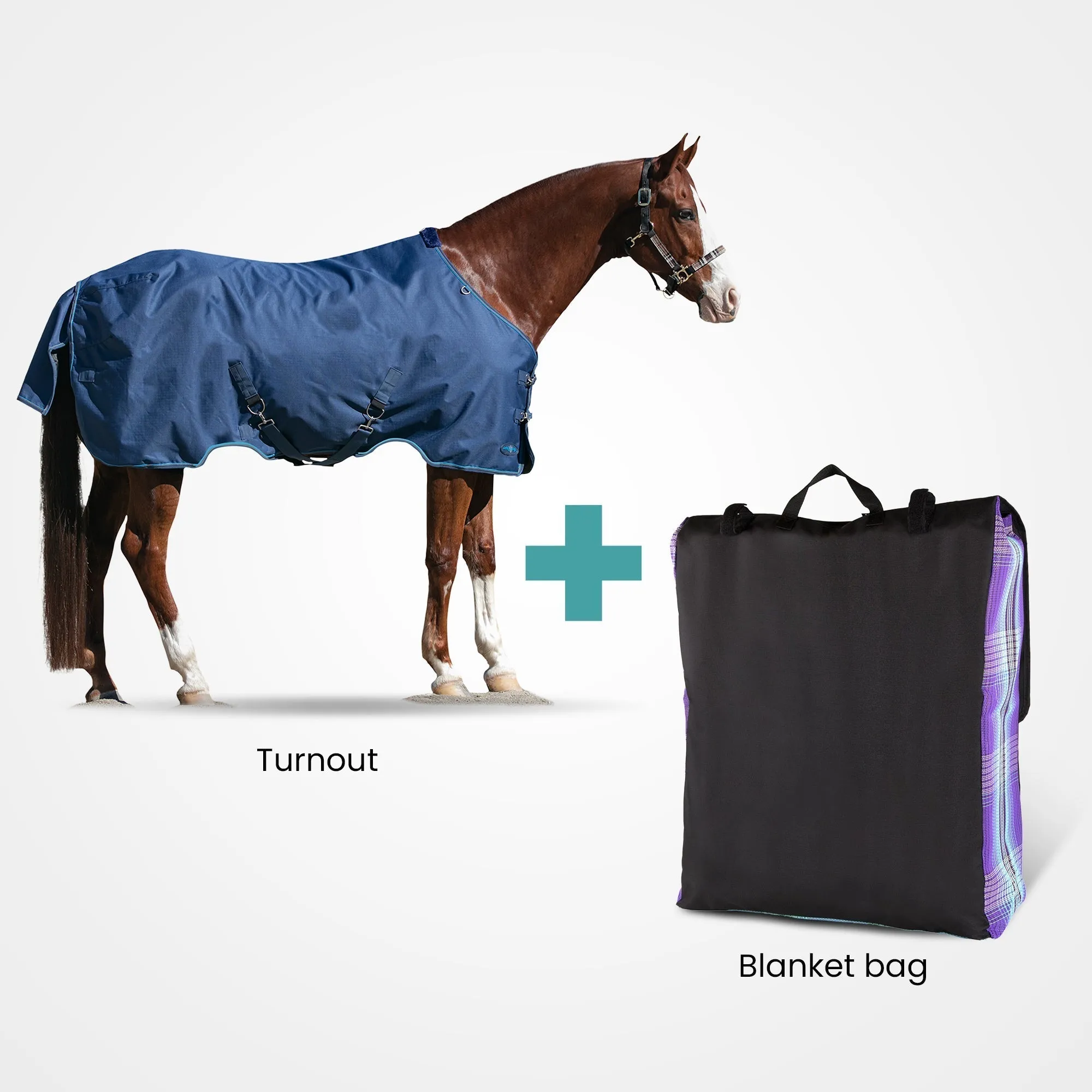 Kensington Bundle - Pony Mid Weight Turnout & Blanket Bag