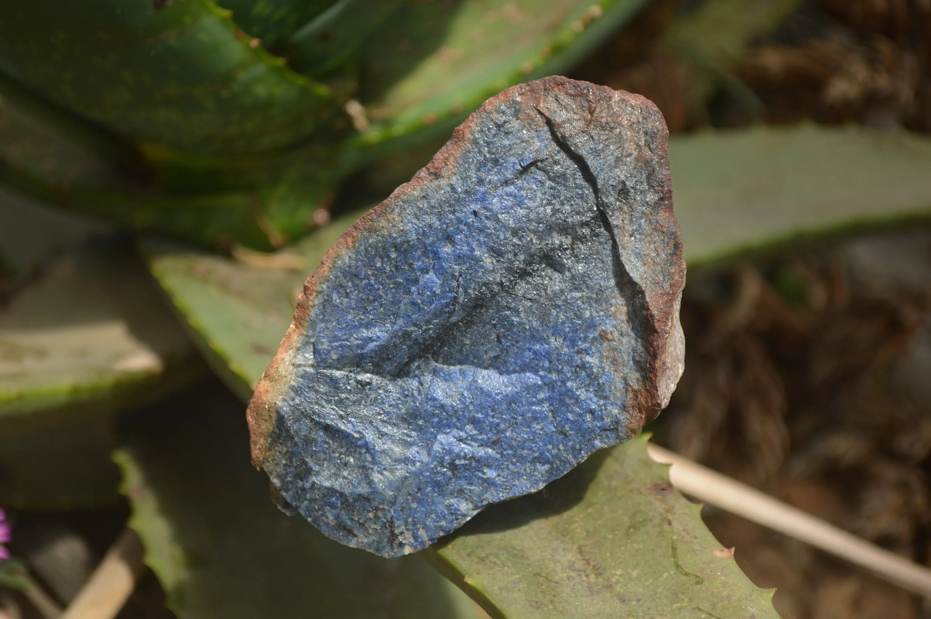 Natural Dumortierite Specimens x 5 From Mozambique