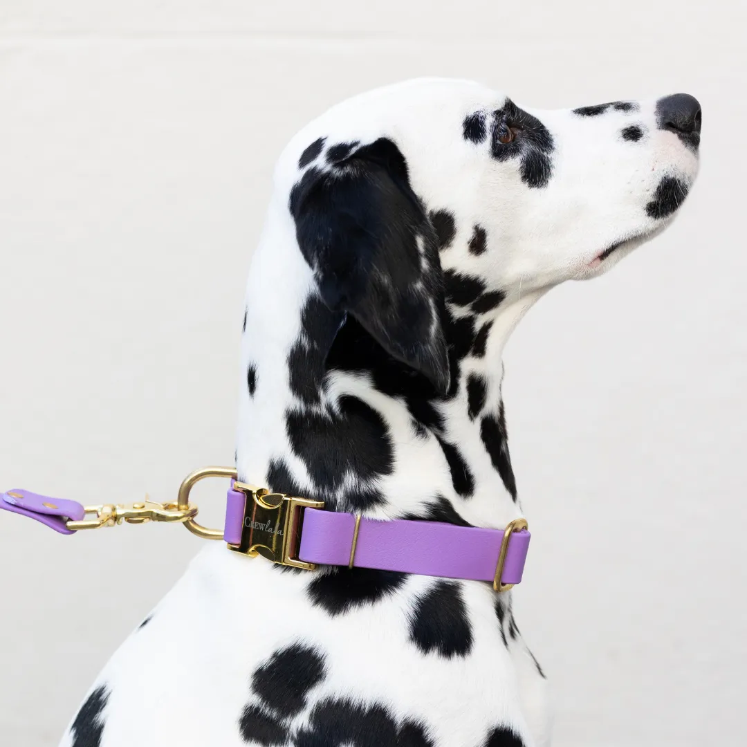 Purple Biothane Collar