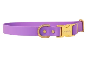 Purple Biothane Collar