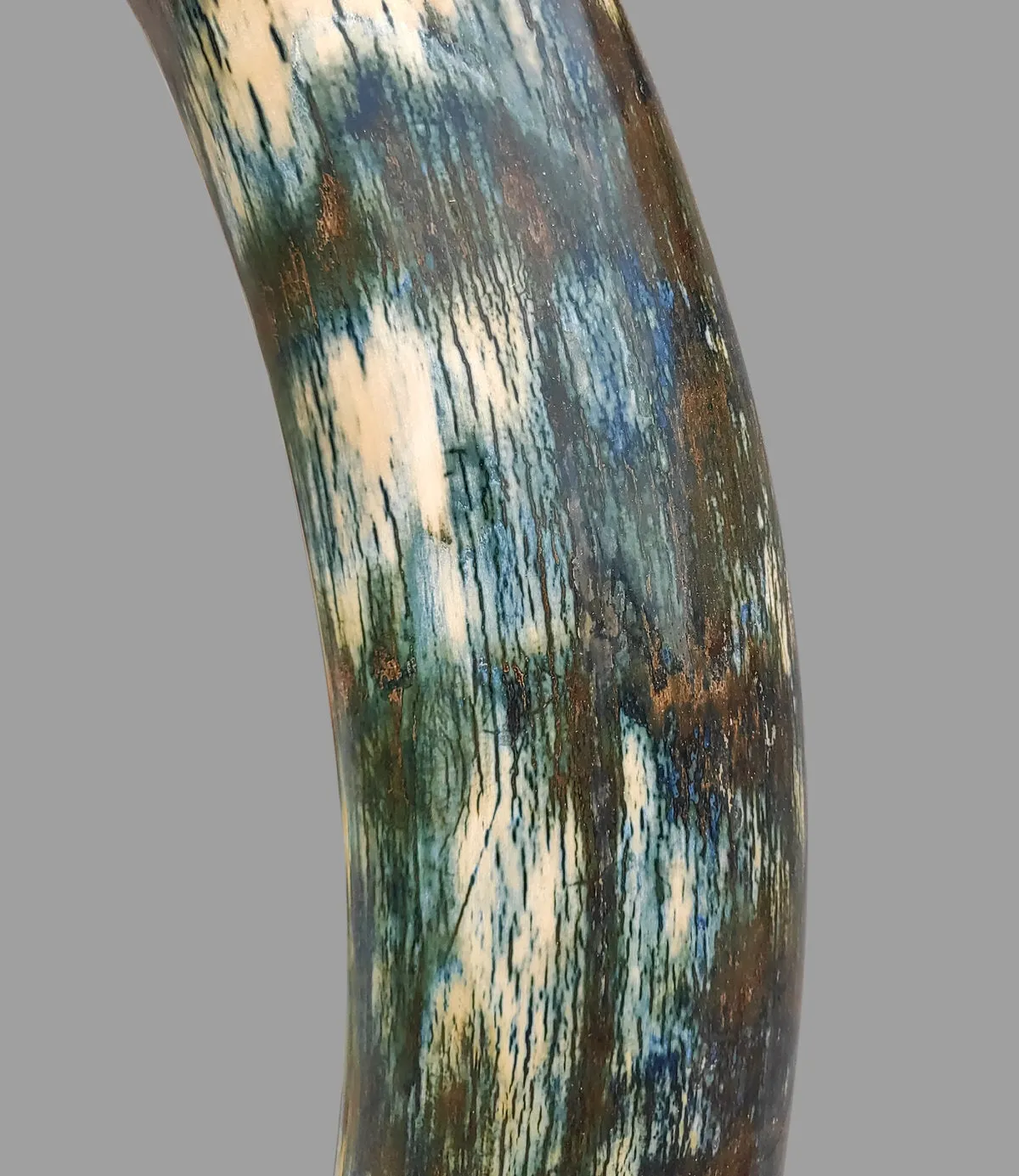 Rare Blue Mammoth Tusk, 8'2"