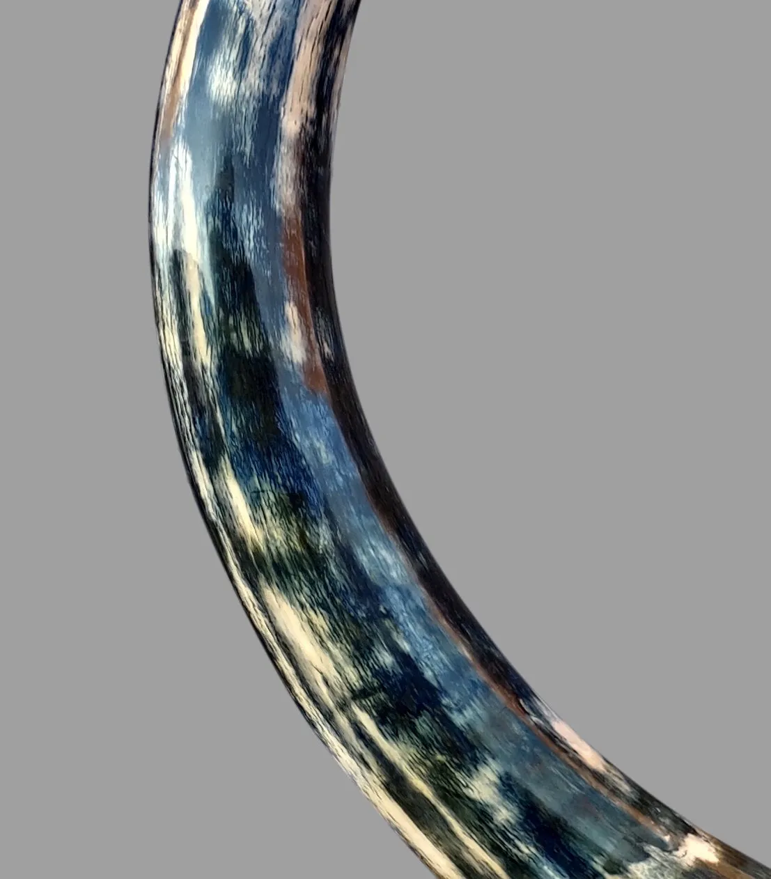 Rare Blue Mammoth Tusk, 8'2"