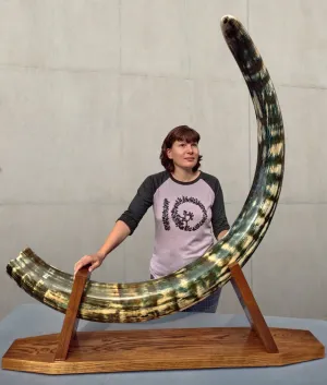 Rare Blue Mammoth Tusk, 8'2"